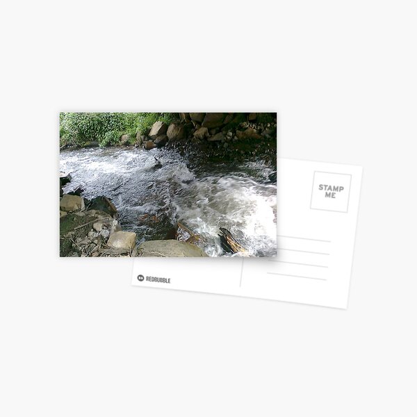 Water Under the Bridge Postcard