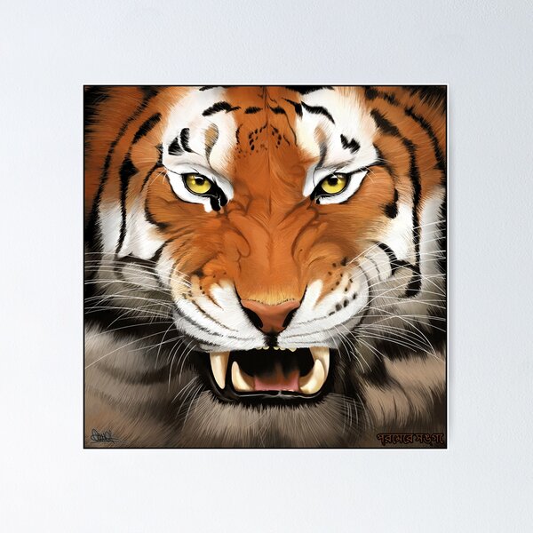 Siberian Tiger Portrait. Aggressive Stare Face Meaning Danger for