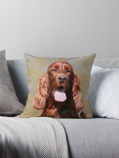 Item preview, Irish Setter II designed and sold by GreyFeatherPhot.