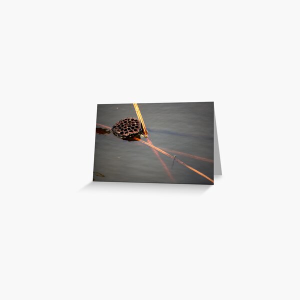 winter soul Greeting Card