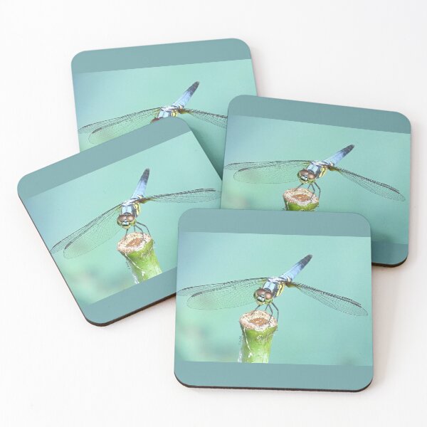 Item preview, Oriental Blue Dasher Dragonfly designed and sold by Linda Walsh.