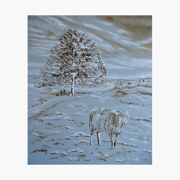 Underpainting Aries Photographic Print