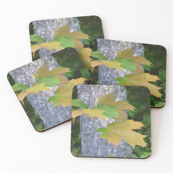 Item preview, Leaves Beginning to Turn designed and sold by Kathleen Brant.