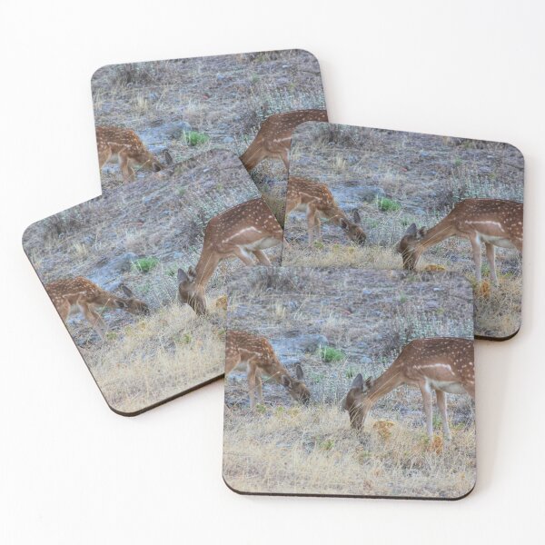Item preview, Grazing designed and sold by Vicki Spindler (VHS Photography).