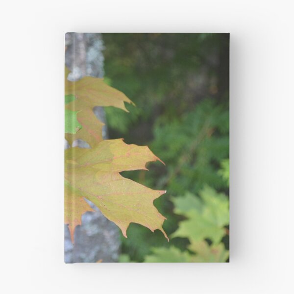 Item preview, Leaves Beginning to Turn designed and sold by Kathleen Brant.