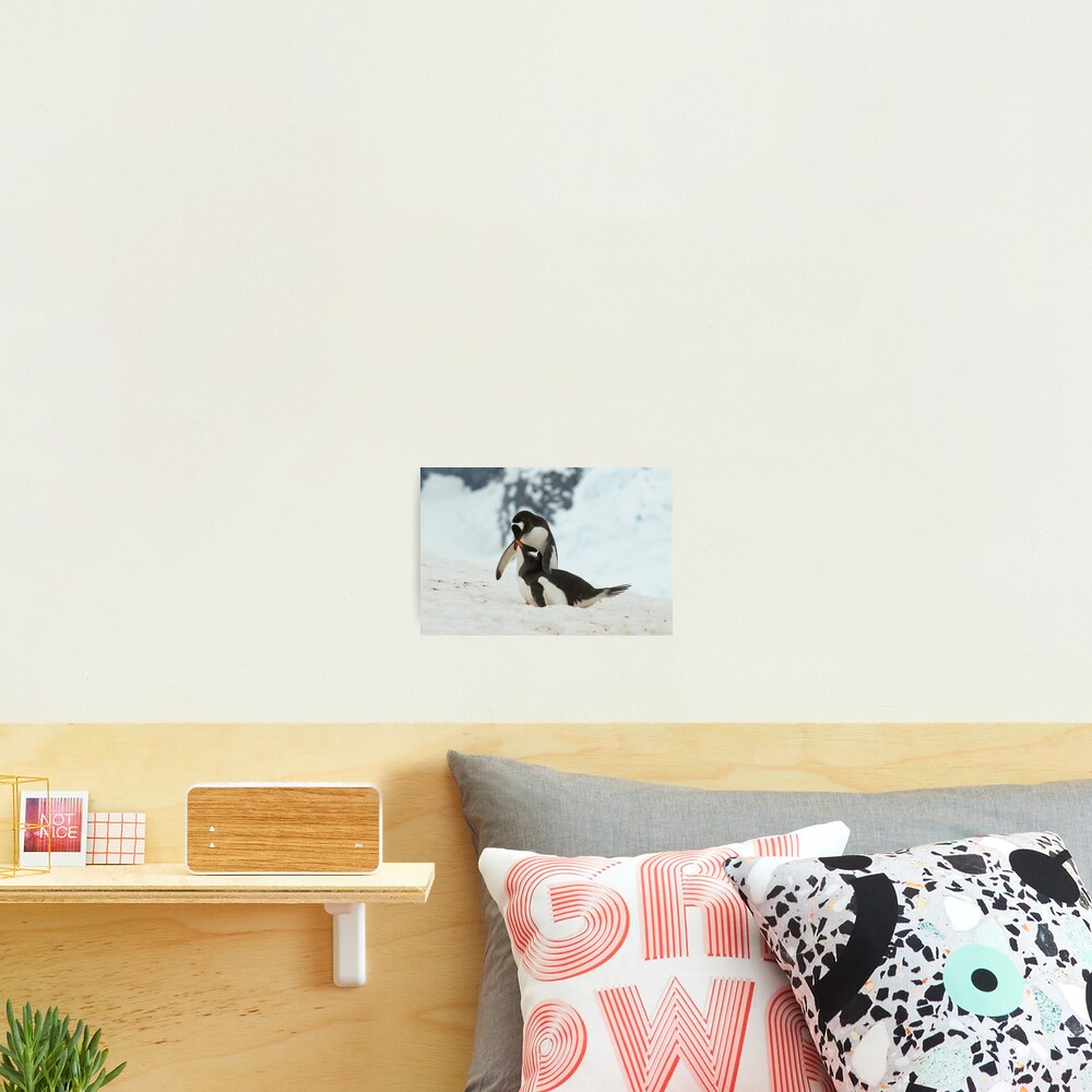 Item preview, Photographic Print designed and sold by DavidBurren.