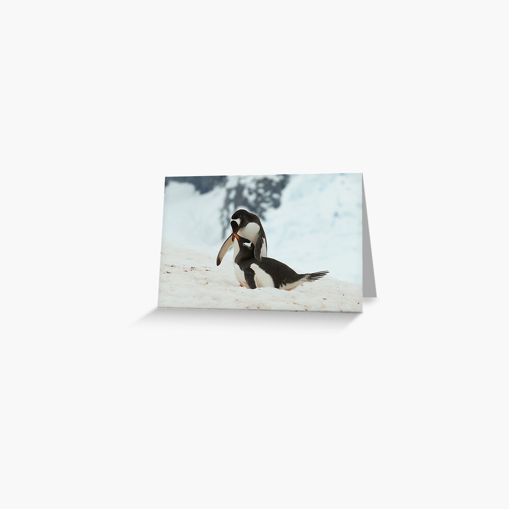 Item preview, Greeting Card designed and sold by DavidBurren.