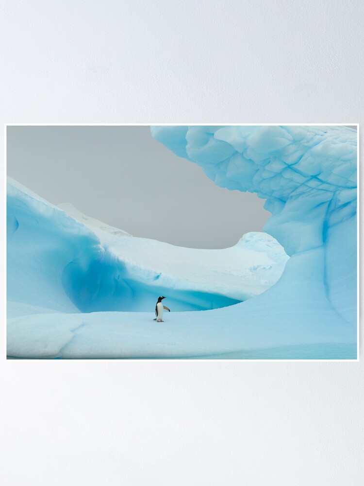 Alternate view of All alone in the ice Poster