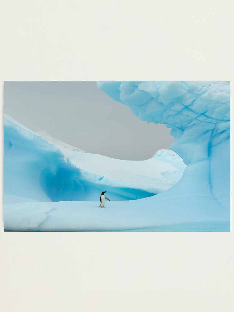 Alternate view of All alone in the ice Photographic Print
