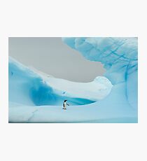 All alone in the ice Photographic Print