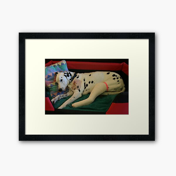 Item preview, Not a happy Chrissy Missy designed and sold by Denzil.