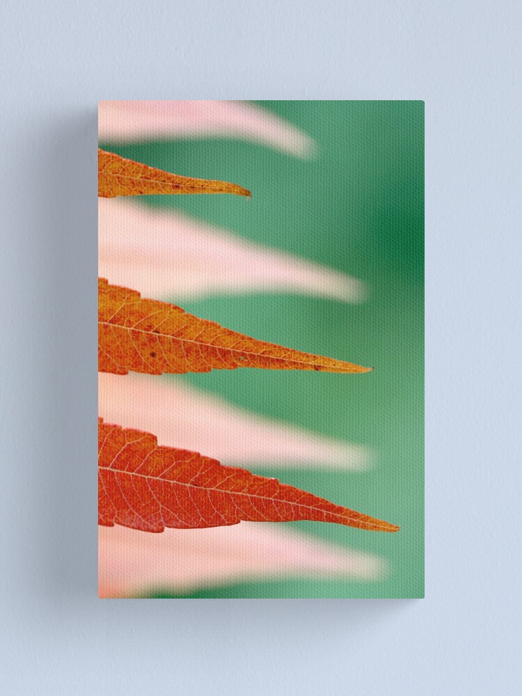 Alternate view of flags in the wind Canvas Print
