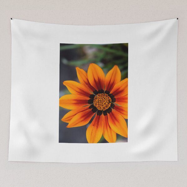 Item preview, Gazania Kiss Orange Flame designed and sold by KatTalbolt.