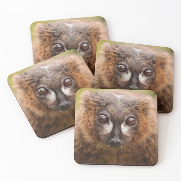 Item preview, Red-bellied lemur designed and sold by Katherine Boon.