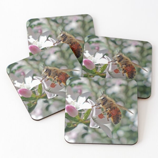 Item preview, Honey bee on a flower. Bee set #6 designed and sold by RankAmateur.