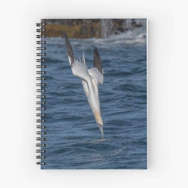 Item preview, The Diving Gannet designed and sold by ROY MCPEAK.