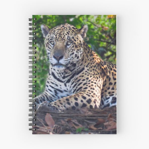 Item preview, Jaguar chilling out designed and sold by Linda Sparks.
