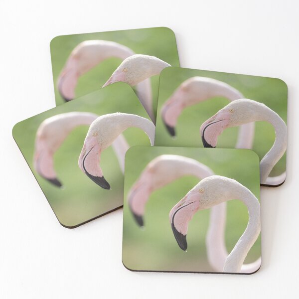 Item preview, Flamingos designed and sold by Katherine Boon.