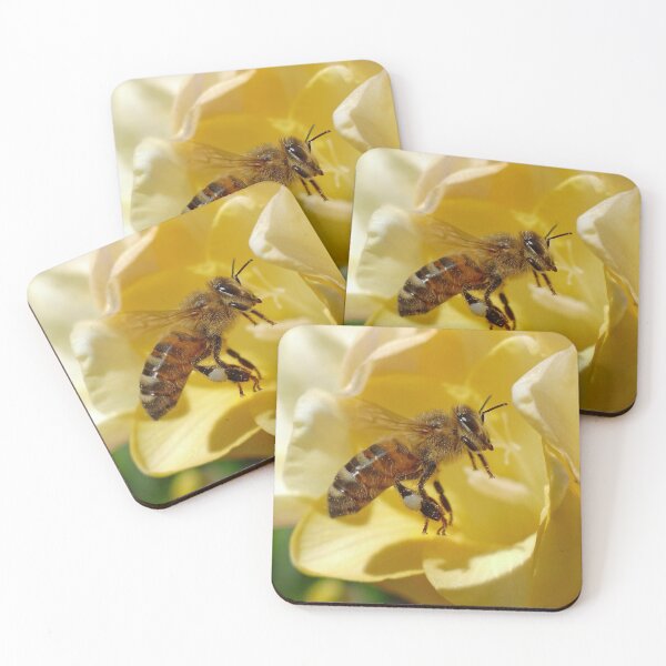 Item preview, Honey bee on a flower. Bee set #7 designed and sold by RankAmateur.