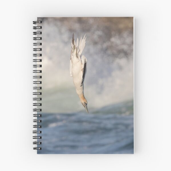 Item preview, Diving Gannet II designed and sold by ROY MCPEAK.