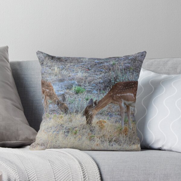 Item preview, Grazing designed and sold by Vicki Spindler (VHS Photography).