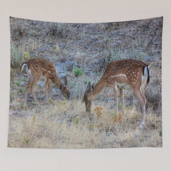 Item preview, Grazing designed and sold by Vicki Spindler (VHS Photography).