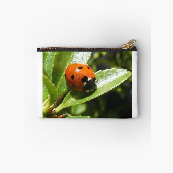 Artikelvorschau, ladybird entworfen und verkauft von amylw1.