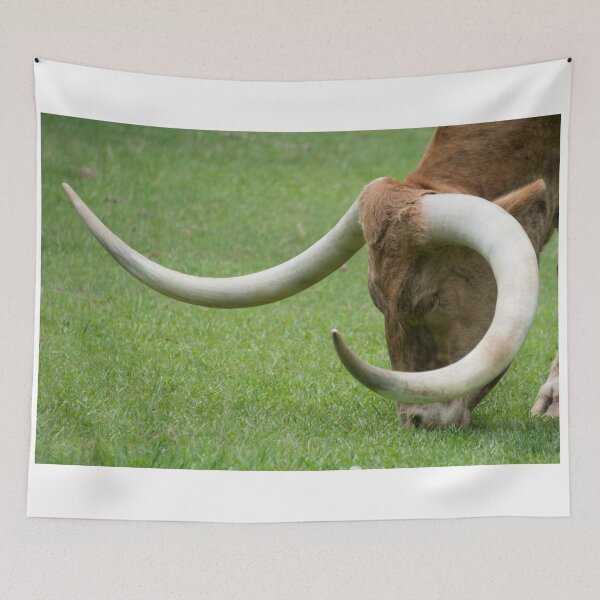 Item preview, Texas Longhorn Getting a Meal designed and sold by Mike Ashley.