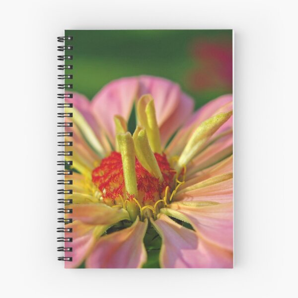 Item preview, A Pink Zinnia designed and sold by Eileen McVey.