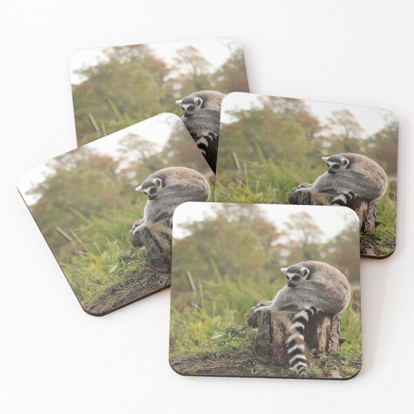 Item preview, Ring-tailed lemur  designed and sold by Katherine Boon.