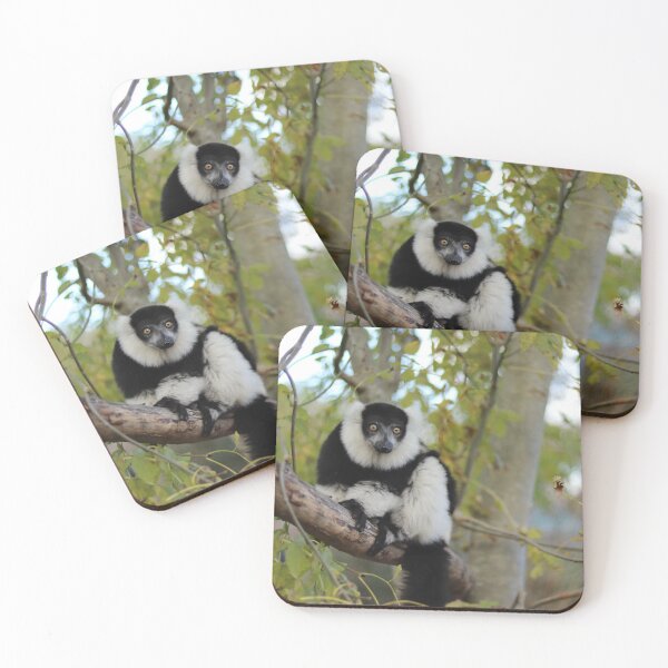 Item preview, White-belted ruffed lemur designed and sold by Katherine Boon.