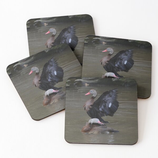 Item preview, Duck Drying Off designed and sold by Mike Ashley.
