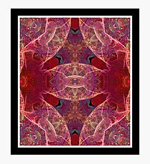 Windspun Photographic Print