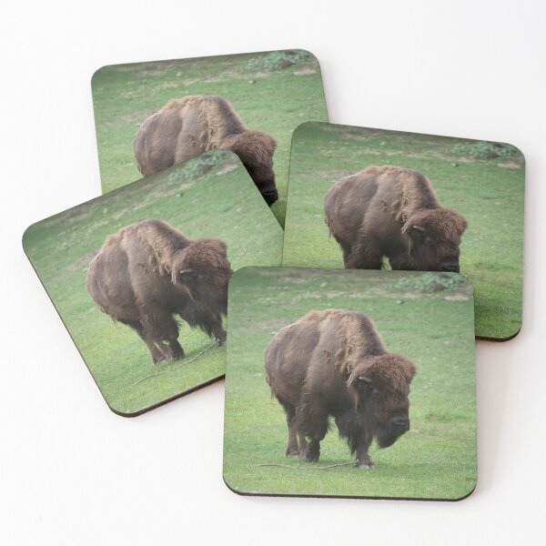 Item preview, Bison at the Zoo designed and sold by Mike Ashley.