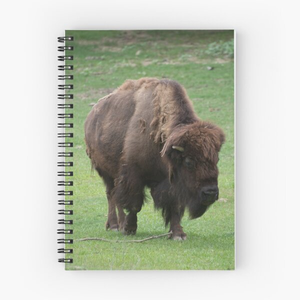 Item preview, Bison at the Zoo designed and sold by Mike Ashley.