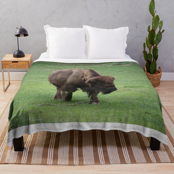 Item preview, Bison at the Zoo designed and sold by Mike Ashley.