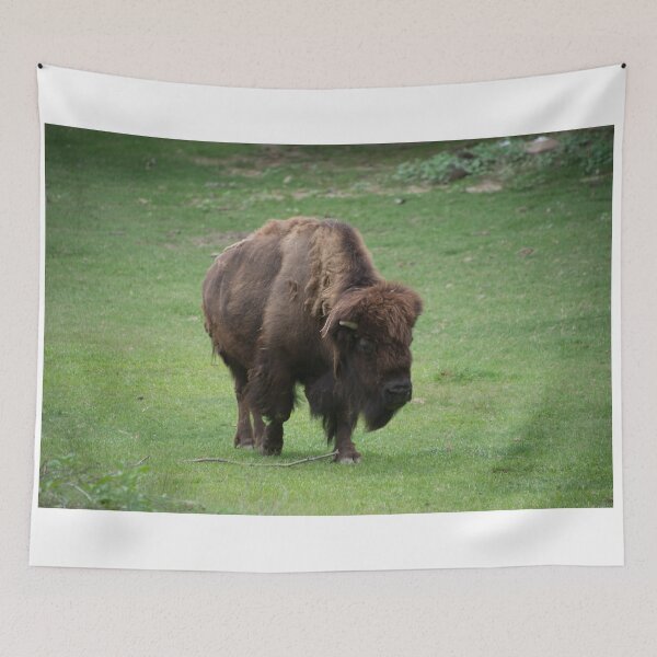 Item preview, Bison at the Zoo designed and sold by Mike Ashley.