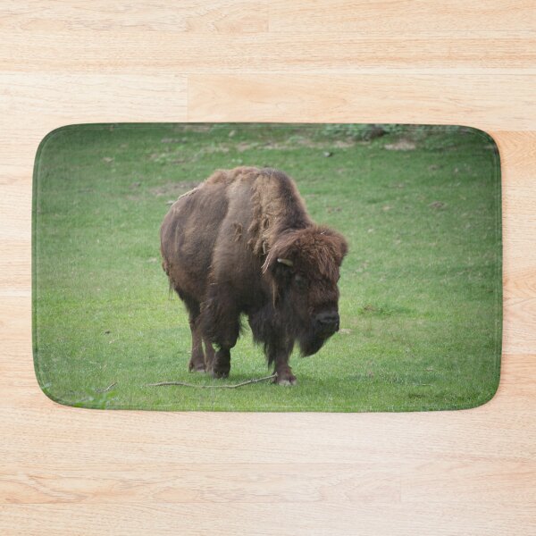 Item preview, Bison at the Zoo designed and sold by Mike Ashley.