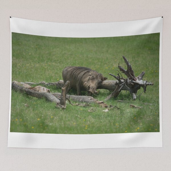 Item preview, Scratching an Itch designed and sold by Mike Ashley.