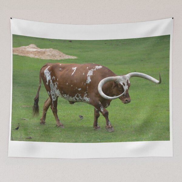 Item preview, Texas Longhorn Taking a Walk designed and sold by Mike Ashley.