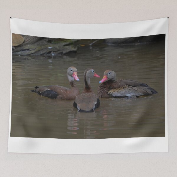 Item preview, Ducks had a Long Meeting designed and sold by Mike Ashley.