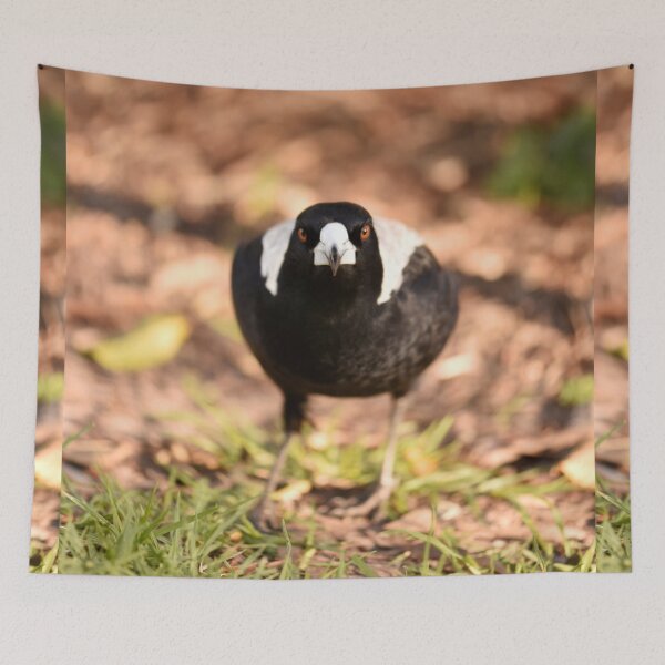 Item preview, Eye to Eye with a Magpie designed and sold by imaginethis.