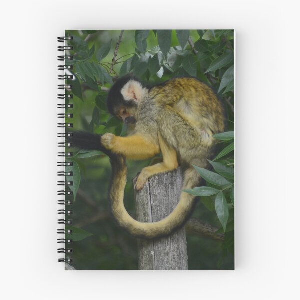 Item preview, Look at this Tail designed and sold by Mike Ashley.