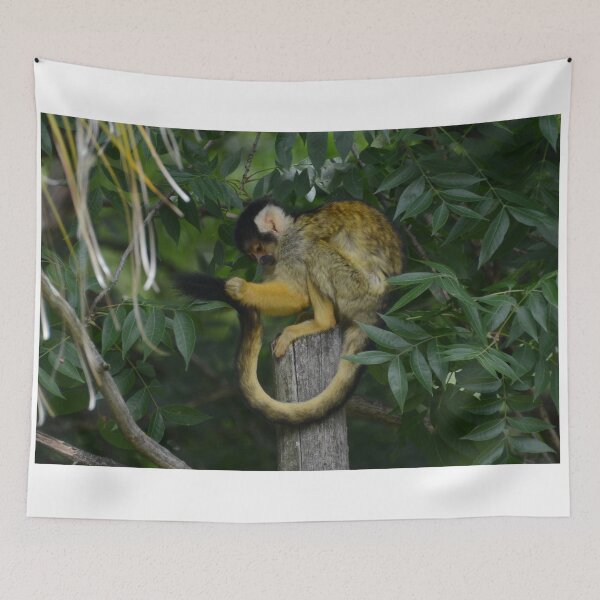 Item preview, Look at this Tail designed and sold by Mike Ashley.