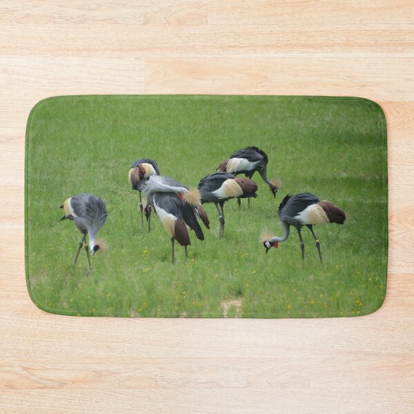 Item preview, Six African Crowned Cranes designed and sold by Mike Ashley.