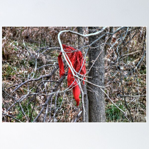 Item preview, The Red Rag designed and sold by Terence Russell.