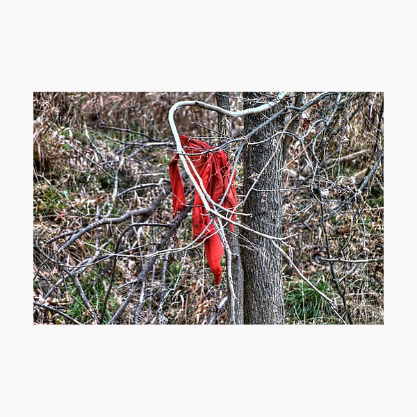 Item preview, The Red Rag designed and sold by Terence Russell.