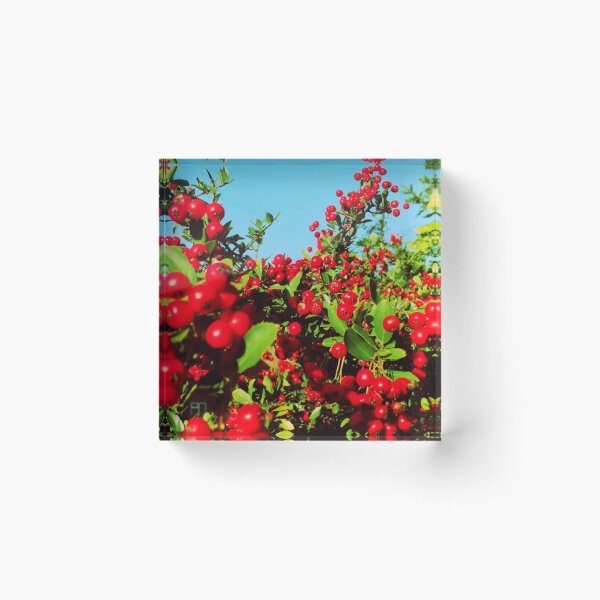 Item preview, Bright Berries designed and sold by Hazel Meades.