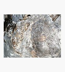 DRIFTWOOD STUDY 5 Photographic Print