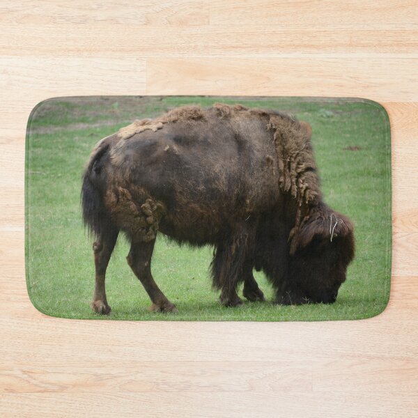 Item preview, North American Bison Grazing designed and sold by Mike Ashley.